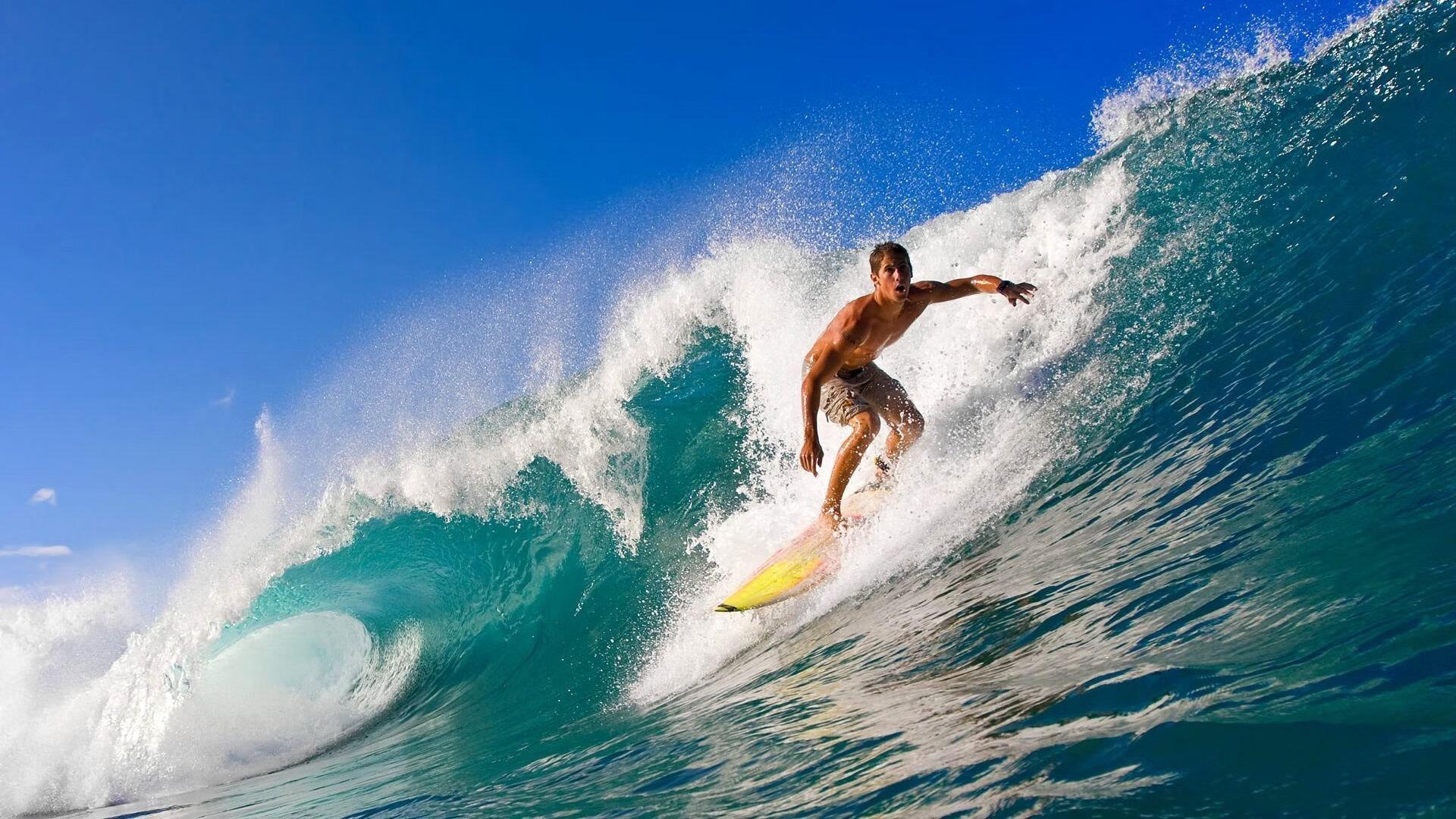 【人物】对聚光灯无感 布朗尼要走出自己的篮球之路